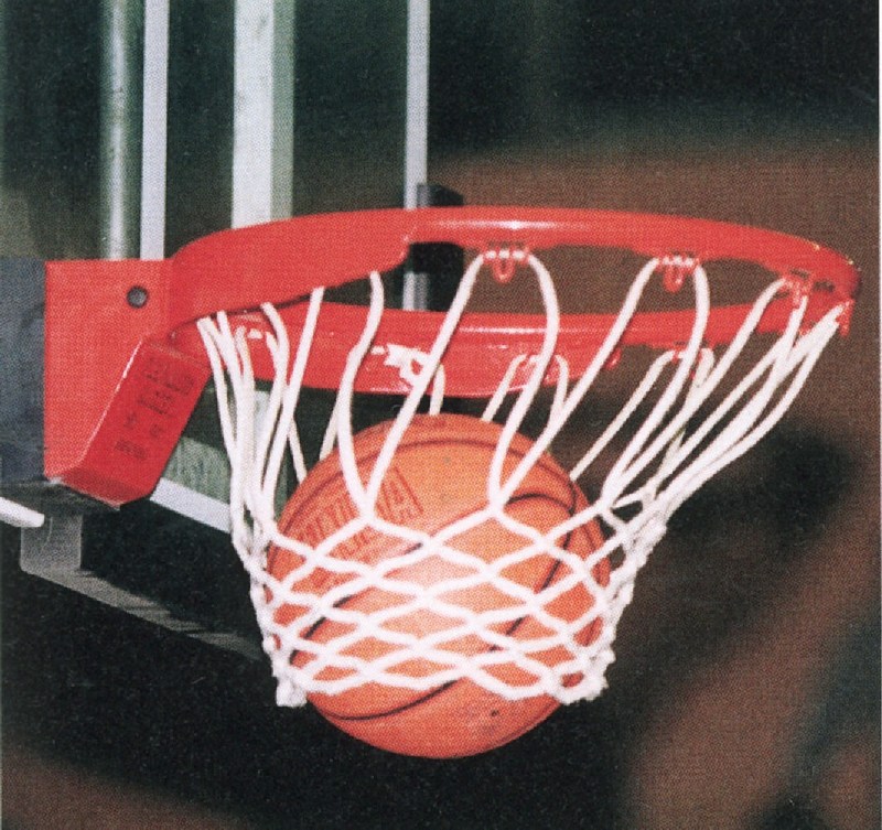 Basketballnetz_01_800x800_200KB