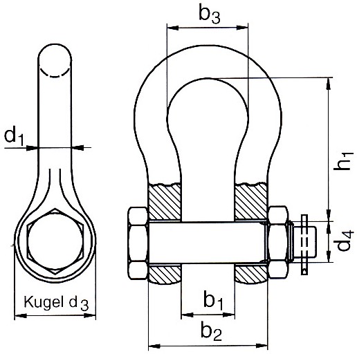 Schäkel, hochfest, geschweifte Form kaufen